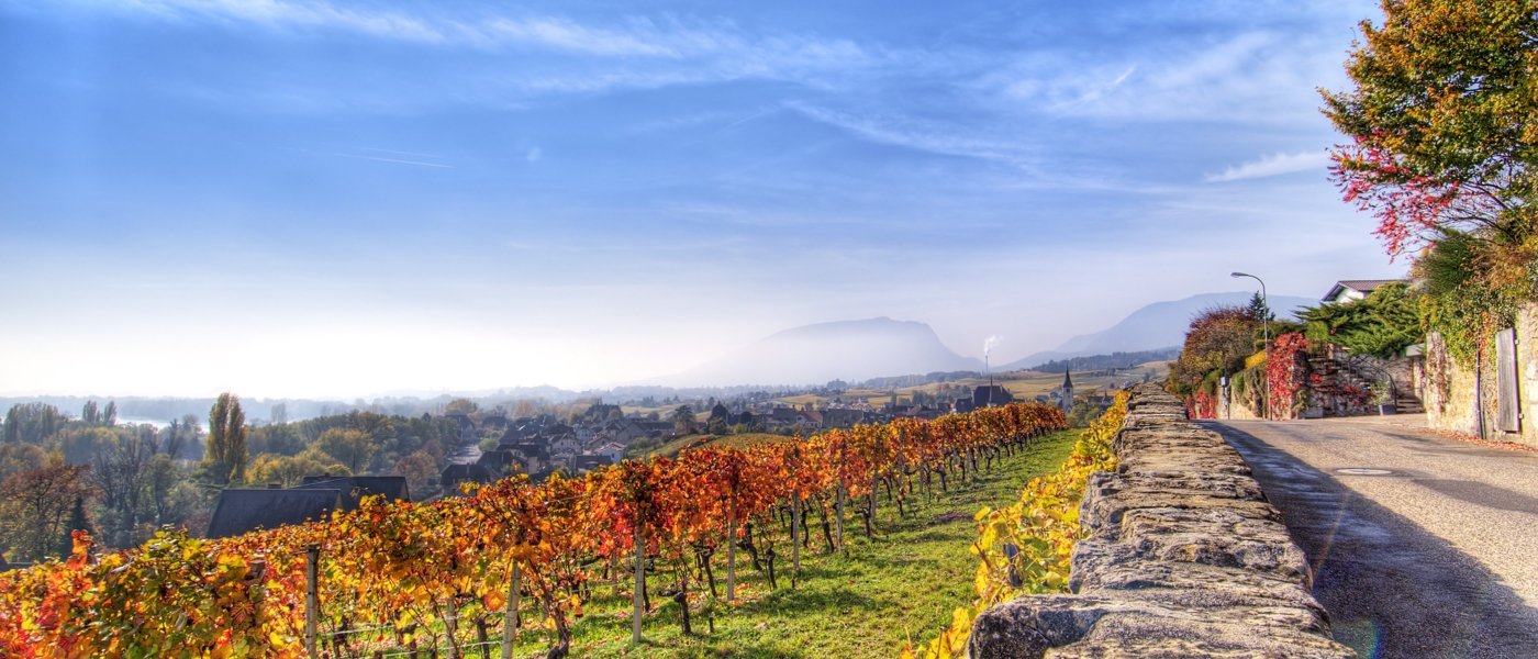 south africa wine tours - Wine Paths